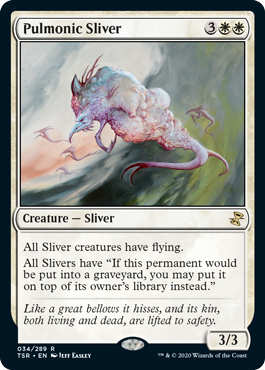 Pulmonic Sliver Pulmonic Sliver