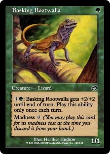 Basking Rootwalla (Foil)