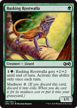 Basking Rootwalla (Foil)