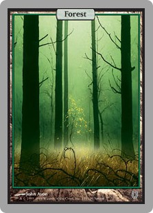 Forest Forest