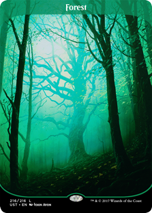 Forest Forest