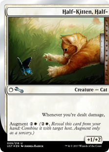 Half-Kitten, Half- Half-Kitten, Half-