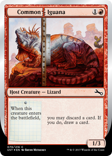 Common Iguana (Foil)