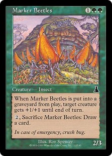 Marker Beetles