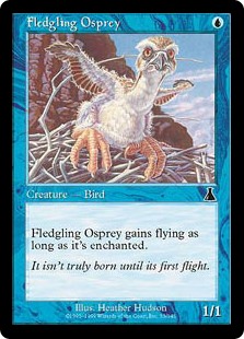 Fledgling Osprey (Foil) Fledgling Osprey (Foil)