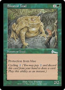Bloated Toad
