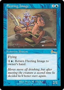 Fleeting Image (Foil)