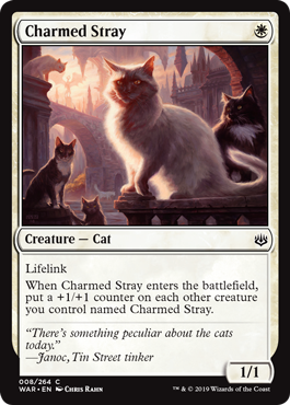 Charmed Stray (Foil)