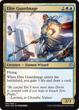 Elite Guardmage (Foil)