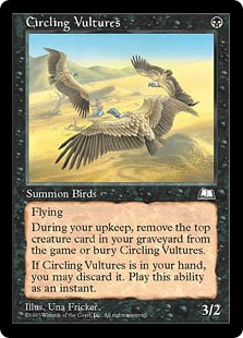 Circling Vultures