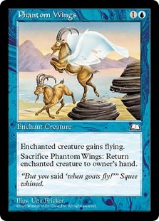 Phantom Wings