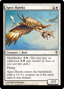 Apex Hawks Apex Hawks