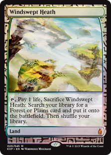 Windswept Heath - Zendikar Expedition Windswept Heath - Zendikar Expedition