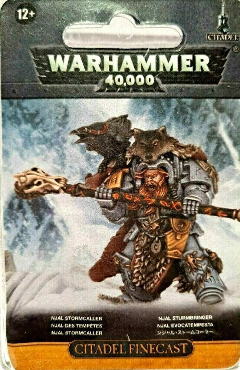 Njal Stormcaller in Terminator Armour