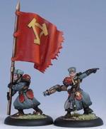 33048 Winterguard Officer & Standard